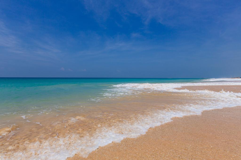 אמבלנגודה Blue Parrot Beach Villa מראה חיצוני תמונה