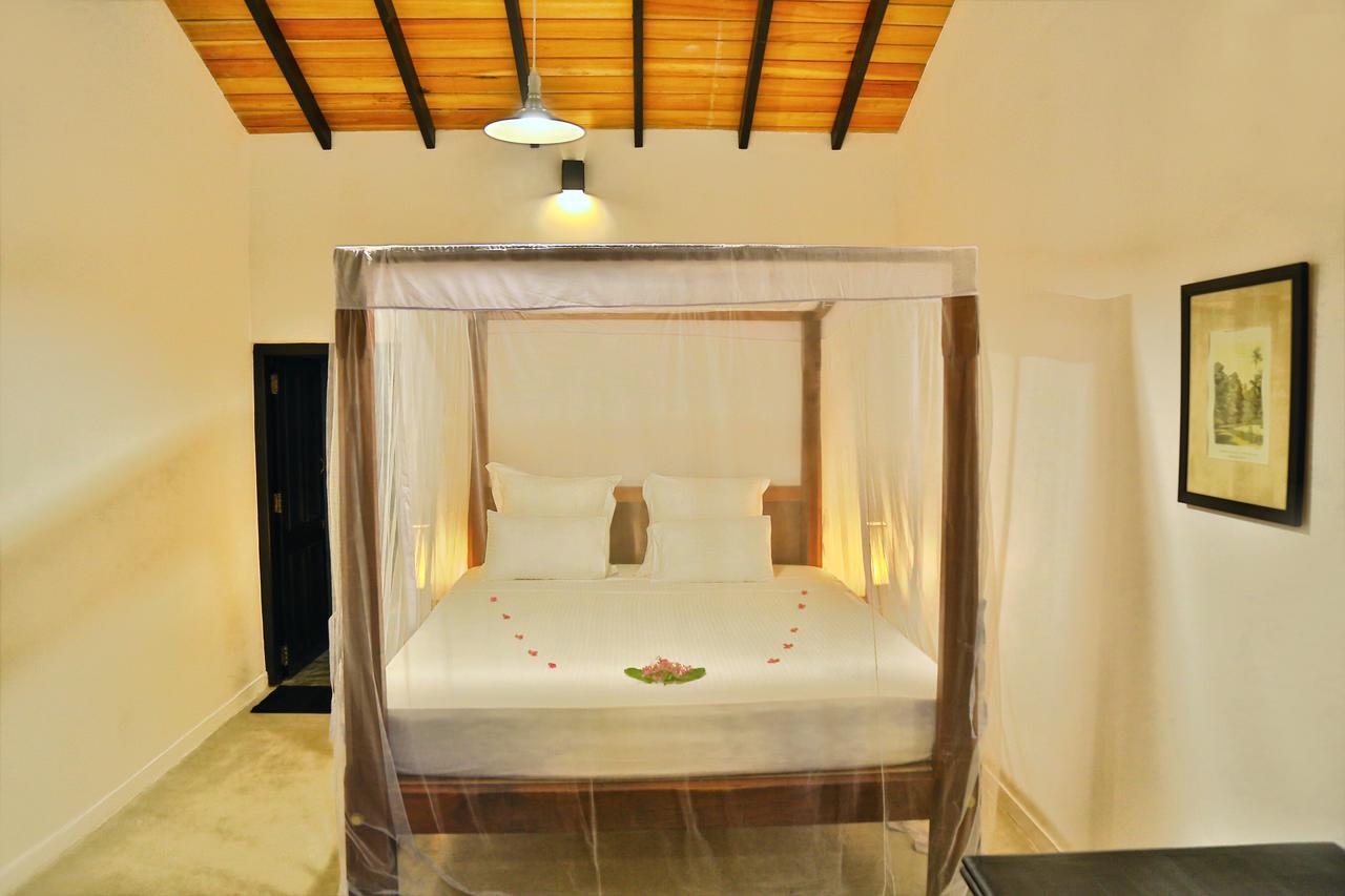 אמבלנגודה Blue Parrot Beach Villa מראה חיצוני תמונה